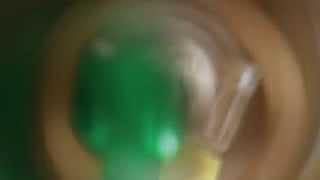 Wheatus - Holiday (Official Video)