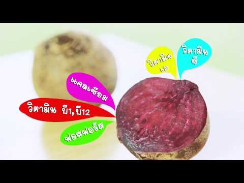 สมุนไพรแก้เจ็บคอ