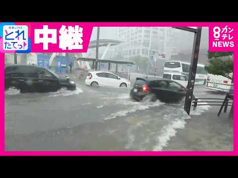【中継】「わずか30分で道路が水に浸かるまで変化」名古屋・栄で豪雨　各地で“災害級の雨”に警戒を　愛知県西部に「線状降水帯」が発生｜旬感LIVE とれたてっ！〈カンテレNEWS〉