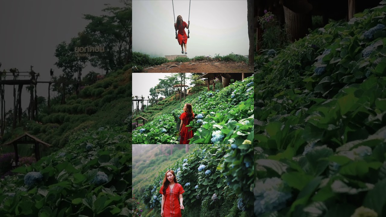 Photography - ถ่ายภาพเที่ยวเชียงใหม่ - 2