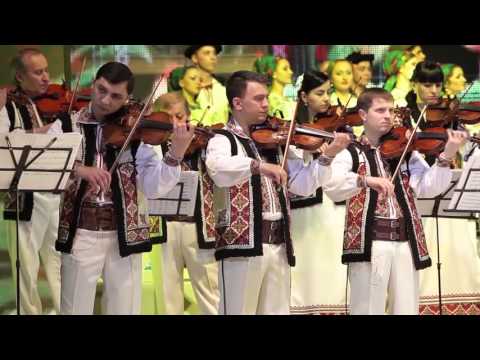 Ion Paladi si  Orchestra "Lăutarii" - Numai tu cucule știi