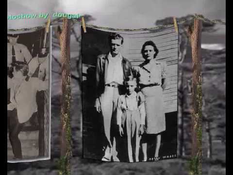 ral  donner   the  day  the  beat  stopped