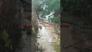 Download lagu kiriman video temen, Lagi cek lahan sawit di sore hari, nemu ular cobra lagi kawin ❗#shorts mp3 Download lagu kiriman video temen, Lagi cek lahan sawit di sore hari, nemu ular cobra lagi kawin ❗#shorts mp3