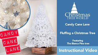 How to Fluff Branches on a Christmas Tree | Bianca Pine | Christmas Tree World