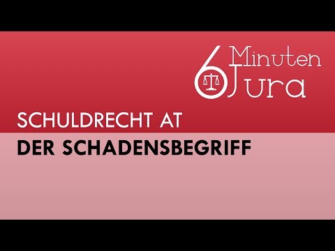 Der Schadensbegriff #10