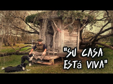 ¡Ver para CREER!: Creó una CASA "VIVA" en el MEDIO de la NADA | Estar aquí es ¡DE OTRO MUNDO!