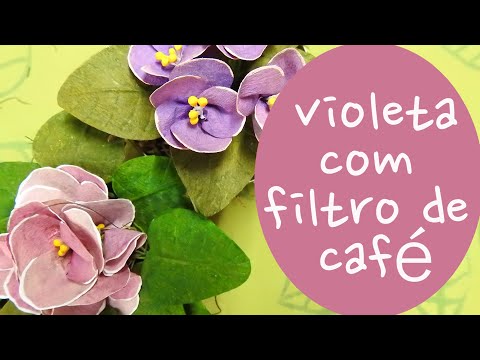 Flor Violeta