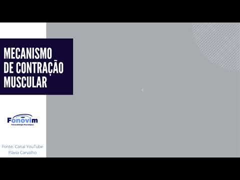 Mecanismo de Contração Muscular - Fonovim Fonoaudiologia Neurológica