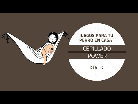 [Juegos para tu perro en casa] DÍA 12: Cepillado power