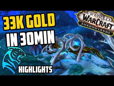 33k Gold in 30 Minutes - My Favourite Skinning Goldfarm - Stream Highlights #5