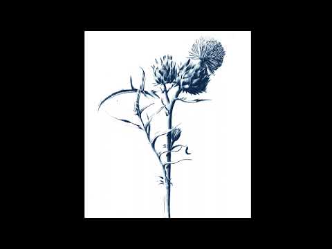 (free)Bushi X Luther X Playboy Carti Trap Type Beat 2023