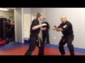 Karate Kick To The Balls Gangnam Style