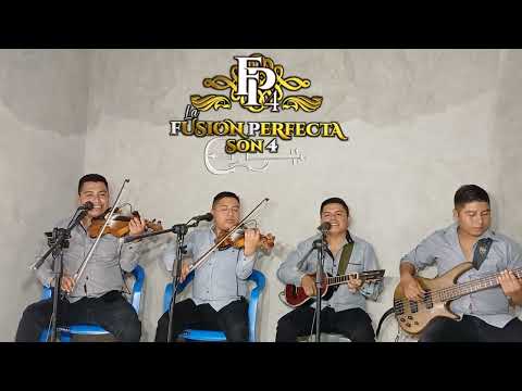 Cariñito. La Fusión Perfecta SON 4