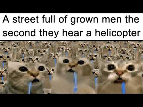 Funny Memes