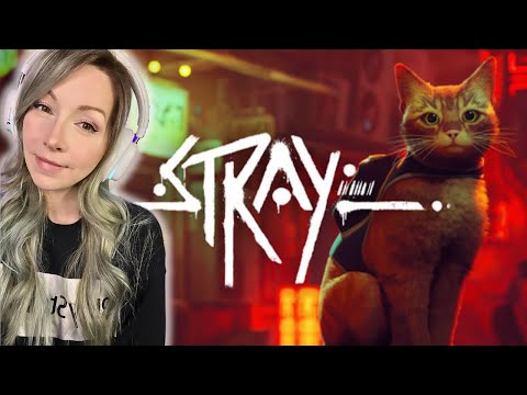 BRB ADOPTING 20 CATS | Stray [Part 1]