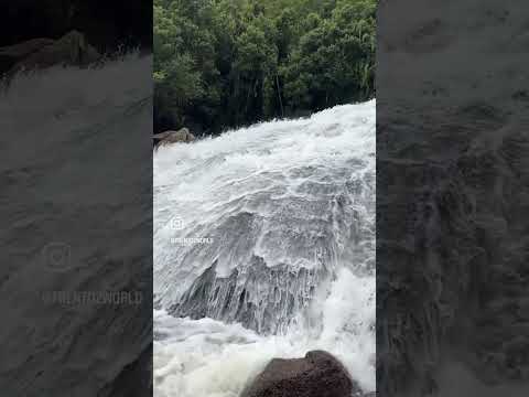 Cascata Angelina/SC #nature #cascata #cachoeira #aventura #reels #reelsinstagram #trip #trento2world
