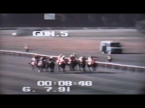 Nagroda Janowa - 6.7.1991 - Borek (Fawor - Borowina)