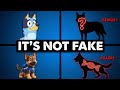 Bluey S SECRET DNA 10 Cartoon Dogs Their REAL Genetics Pt 2