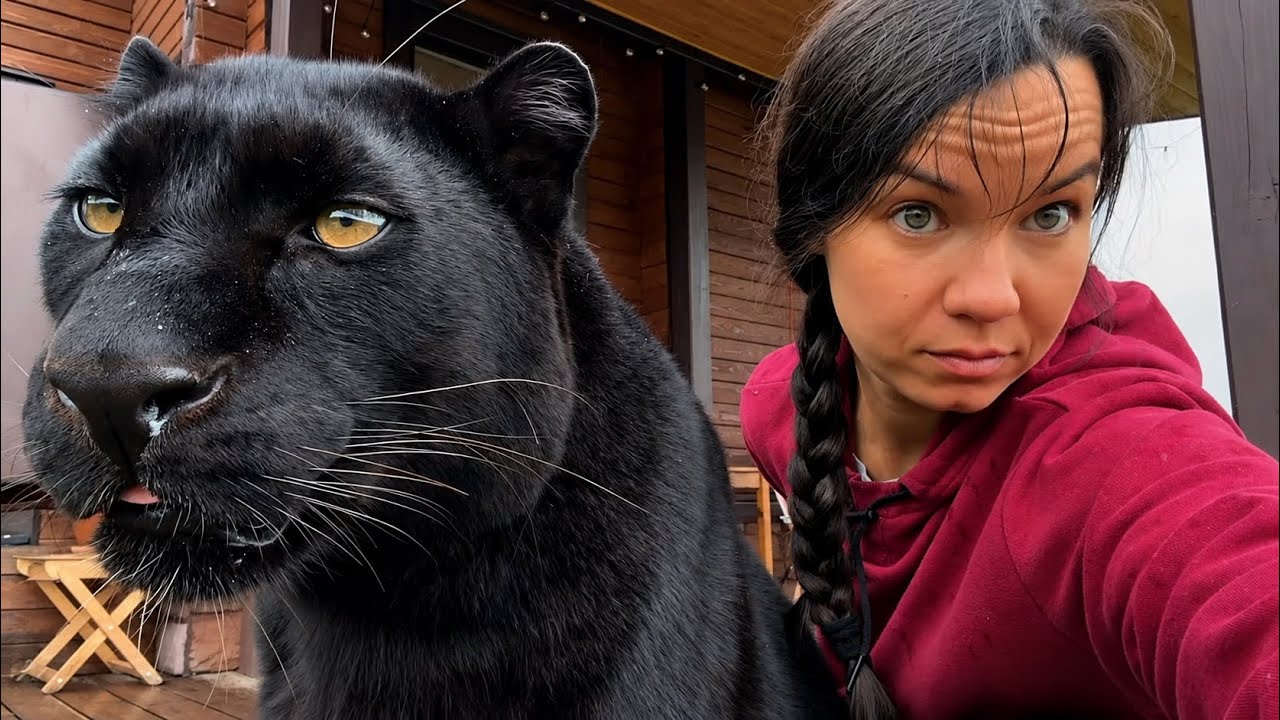 Let's take a peek at the new house, a walk with Elton, and a day with Luna the panther 🌻(ENG SUB)