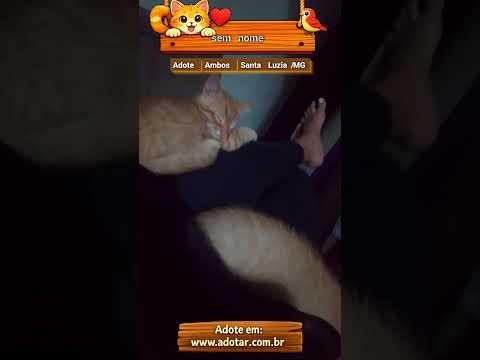 Vídeo de sem nome 