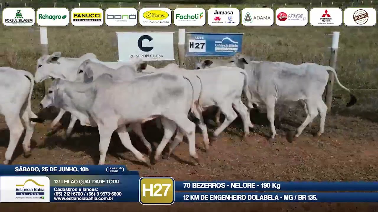 Vídeo LOTE H27 - 13º Leilão Qualidade Total 2022