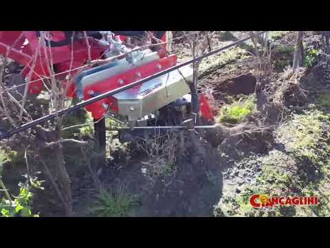 Scalzatore "Variant Plus" con dischiere e spatole pulisci pianta - Ciancaglini Srl