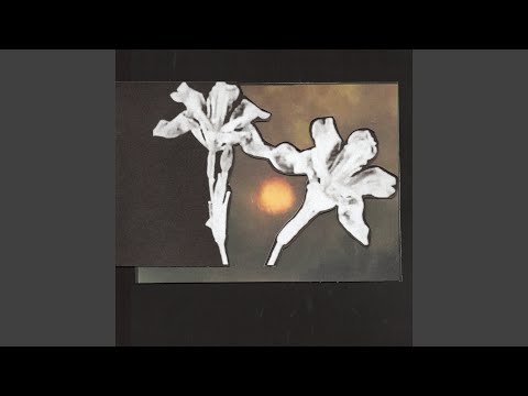 Video thumbnail for Don’t Let Me Go