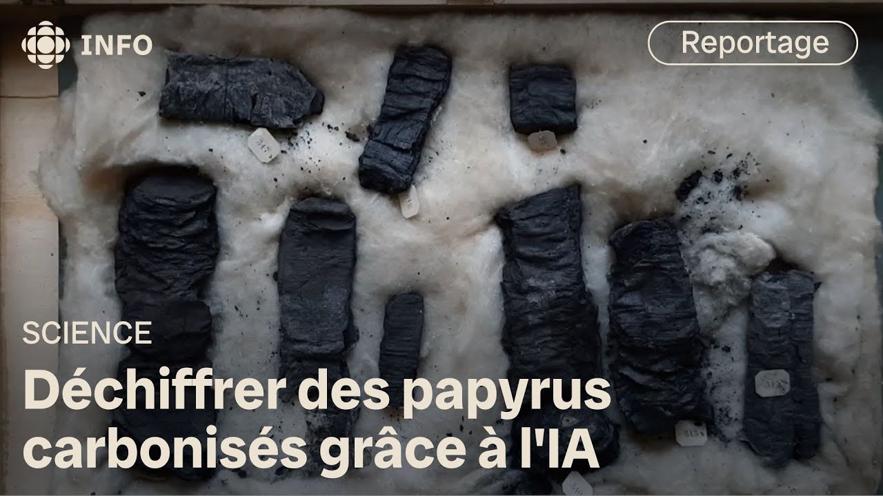 Des papyrus détruits par le Vésuve révélés grâce à l’intelligence artificielle | Découverte