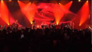 Flor de Fuego - En Vivo Music Video