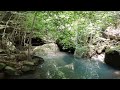 Canoe Creek Track Wollemi National Park