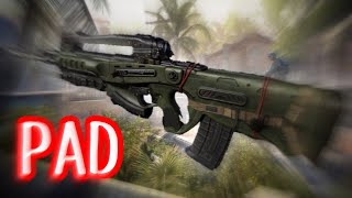 【BO4】マウサー御用達の武器をPADが使う！