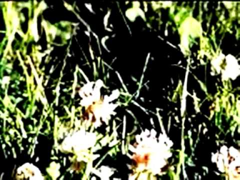 A Silver Mount Zion - Microphones in the Trees
