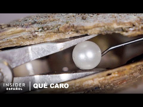 Por qué las perlas del mar del Sur son tan caras | Qué caro | Business Insider