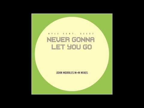PROMO SNIPPET | Ryle feat. Seest : Never Gonna Let You Go (M+M Remixes)
