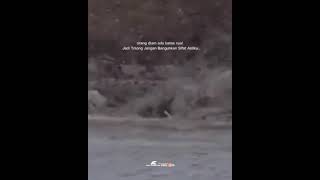 Download lagu story wa30detik//#keren #storywa30detik #ig #tiktok #warzone #30detik #story #storywa mp3