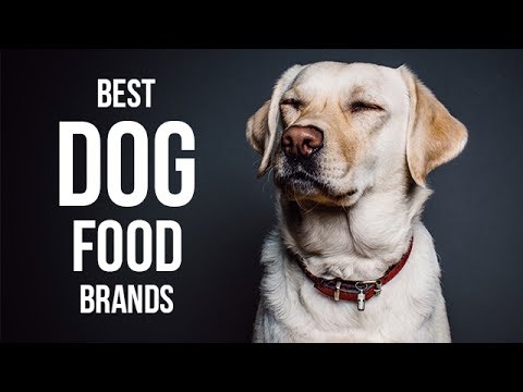 Top 5 Best Dog Food Brands of 2017