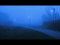 Interlinked Ambient Slowed Reverb 1 Hour Loop