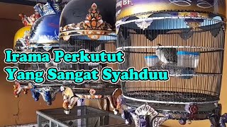 Download lagu PERKUTUT TRAH IRAMA JUARA RING DOMISOL mp3