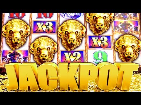 ★ MASSIVE JACKPOT! ★ MY BIGGEST HANDPAY BUFFALO GOLD | Slot Traveler