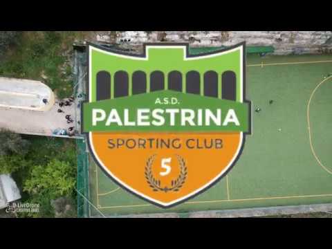 ASD Sportimg Club Palestrina
