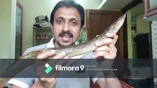 Cleaning and cooking tyre track Eel