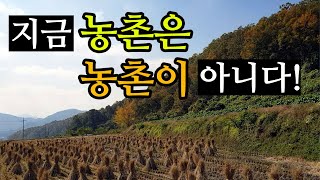 지금 농촌은 농촌이 아니다?