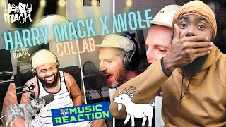 REACTING to Harry Mack x Wolf Reacts on Happy Hour