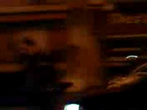 psylos stin gr lampraki