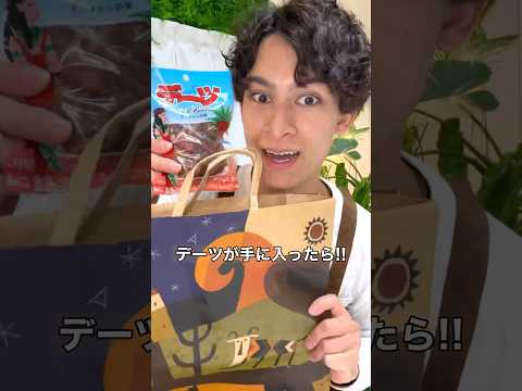 園芸 ヤシの木の大きさ