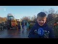 Stapel ingezamelde kerstbomen eindigt als wandelpad in park