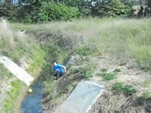 Come rovinarsi la reputazione - part. 4 (Il ritorno dell'idiozia)