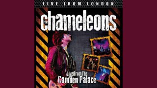 Return Of The Roughnecks