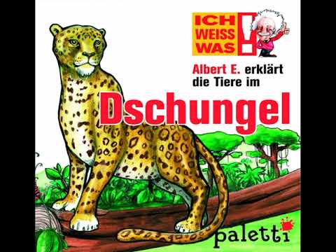 Albert E. erklärt die Tiere im Dschungel