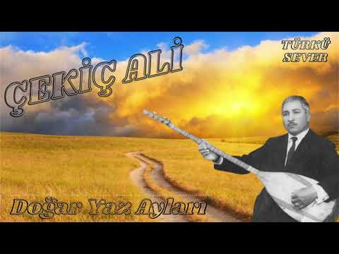 Çekiç Ali - Doğar Yaz Ayları ( Sözler Açıklamada )